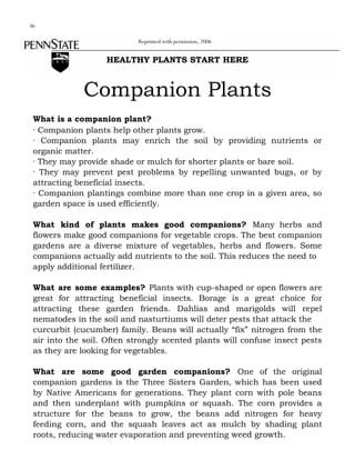 36
Reprinted with permission, 2006

HEALTHY PLANTS START HERE

Companion Plants
What is a companion plant?
· Companion plants help other plants grow.
· Companion plants may enrich the soil by providing nutrients or
organic matter.
· They may provide shade or mulch for shorter plants or bare soil.
· They may prevent pest problems by repelling unwanted bugs, or by
attracting beneficial insects.
· Companion plantings combine more than one crop in a given area, so
garden space is used efficiently.
What kind of plants makes good companions? Many herbs and
flowers make good companions for vegetable crops. The best companion
gardens are a diverse mixture of vegetables, herbs and flowers. Some
companions actually add nutrients to the soil. This reduces the need to
apply additional fertilizer.
What are some examples? Plants with cup-shaped or open flowers are
great for attracting beneficial insects. Borage is a great choice for
attracting these garden friends. Dahlias and marigolds will repel
nematodes in the soil and nasturtiums will deter pests that attack the
curcurbit (cucumber) family. Beans will actually “fix” nitrogen from the
air into the soil. Often strongly scented plants will confuse insect pests
as they are looking for vegetables.
What are some good garden companions? One of the original
companion gardens is the Three Sisters Garden, which has been used
by Native Americans for generations. They plant corn with pole beans
and then underplant with pumpkins or squash. The corn provides a
structure for the beans to grow, the beans add nitrogen for heavy
feeding corn, and the squash leaves act as mulch by shading plant
roots, reducing water evaporation and preventing weed growth.

 