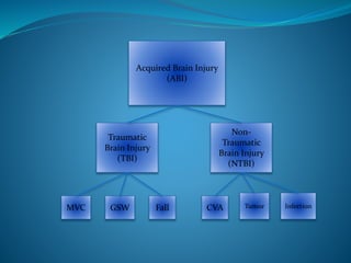 Acquired Brain Injury
(ABI)
Traumatic
Brain Injury
(TBI)
Non-
Traumatic
Brain Injury
(NTBI)
CVA Tumor InfectionMVC GSW Fall
 