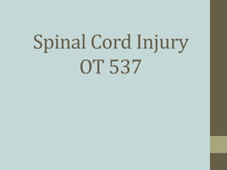 Spinal Cord Injury
OT 537
 