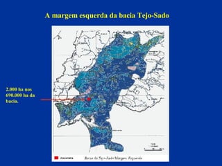 A margem esquerda da bacia Tejo-Sado 2.000 ha nos 690.000 ha da bacia. 