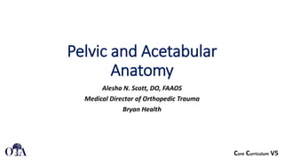 Core Curriculum V5
Pelvic and Acetabular
Anatomy
Alesha N. Scott, DO, FAAOS
Medical Director of Orthopedic Trauma
Bryan Health
 