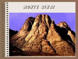 MONTE SINAI
 