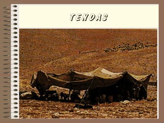 TENDAS
 
 
 
 
 
 
 
 
 
 
 
 
 
 
 