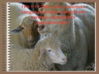 I Pe 1:19 "Mas com o precioso
sangue de Cristo, como de um
cordeiro imaculado e
incontaminado."
 