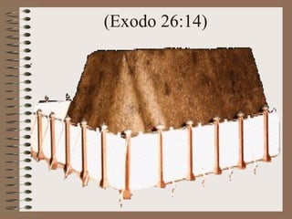 (Exodo 26:14)
 