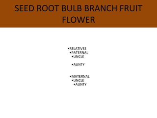 SEED ROOT BULB BRANCH FRUIT
FLOWER
•RELATIVES
•PATERNAL
•UNCLE
•AUNTY
•MATERNAL
•UNCLE
•AUNTY
 