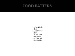 FOOD PATTERN
•HERBIVORE
•Bull
•CARNIVORE
•Lion
•OMNIVORE
•Peacock
•DETRIVORE
•Millipedes
 