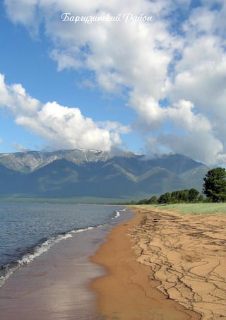 Бакгнзжнлзжй Райин
 