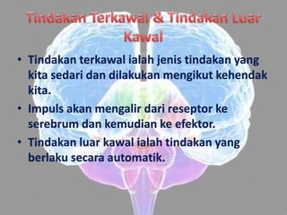 • Tindakan terkawal ialah jenis tindakan yang
  kita sedari dan dilakukan mengikut kehendak
  kita.
• Impuls akan mengalir dari reseptor ke
  serebrum dan kemudian ke efektor.
• Tindakan luar kawal ialah tindakan yang
  berlaku secara automatik.
 