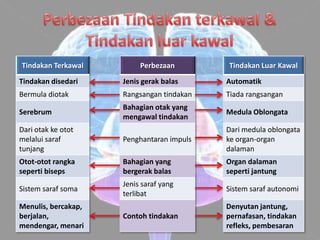 Tindakan Terkawal         Perbezaan        Tindakan Luar Kawal
Tindakan disedari    Jenis gerak balas     Automatik
Bermula diotak       Rangsangan tindakan   Tiada rangsangan
                     Bahagian otak yang
Serebrum                                   Medula Oblongata
                     mengawal tindakan
Dari otak ke otot                          Dari medula oblongata
melalui saraf        Penghantaran impuls   ke organ-organ
tunjang                                    dalaman
Otot-otot rangka     Bahagian yang         Organ dalaman
seperti biseps       bergerak balas        seperti jantung
                     Jenis saraf yang
Sistem saraf soma                          Sistem saraf autonomi
                     terlibat
Menulis, bercakap,                         Denyutan jantung,
berjalan,            Contoh tindakan       pernafasan, tindakan
mendengar, menari                          refleks, pembesaran
 