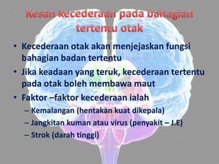 • Kecederaan otak akan menjejaskan fungsi
  bahagian badan tertentu
• Jika keadaan yang teruk, kecederaan tertentu
  pada otak boleh membawa maut
• Faktor –faktor kecederaan ialah
  – Kemalangan (hentakan kuat dikepala)
  – Jangkitan kuman atau virus (penyakit – J.E)
  – Strok (darah tinggi)
 