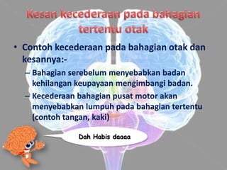 • Contoh kecederaan pada bahagian otak dan
  kesannya:-
  – Bahagian serebelum menyebabkan badan
    kehilangan keupayaan mengimbangi badan.
  – Kecederaan bahagian pusat motor akan
    menyebabkan lumpuh pada bahagian tertentu
    (contoh tangan, kaki)

               Dah Habis daaaa
 
