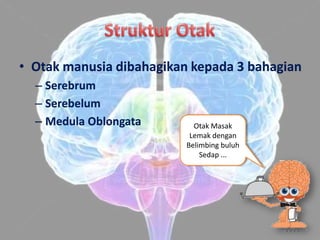 • Otak manusia dibahagikan kepada 3 bahagian
  – Serebrum
  – Serebelum
  – Medula Oblongata        Otak Masak
                           Lemak dengan
                          Belimbing buluh
                              Sedap ...
 