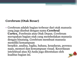 Cerebrum (Otak Besar)

• Cerebrum adalah bagian terbesar dari otak manusia
  yang juga disebut dengan nama Cerebral
  Cortex, Forebrain atau Otak Depan. Cerebrum
  merupakan bagian otak yang membedakan manusia
  dengan binatang. Cerebrum membuat manusia
  memiliki kemampuan
  berpikir, analisa, logika, bahasa, kesadaran, perenca
  naan, memori dan kemampuan visual. Kecerdasan
  intelektual atau IQ Anda juga ditentukan oleh
  kualitas bagian ini.
 