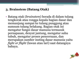 3. Brainstem (Batang Otak)

• Batang otak (brainstem) berada di dalam tulang
  tengkorak atau rongga kepala bagian dasar dan
  memanjang sampai ke tulang punggung atau
  sumsum tulang belakang. Bagian otak ini
  mengatur fungsi dasar manusia termasuk
  pernapasan, denyut jantung, mengatur suhu
  tubuh, mengatur proses pencernaan, dan
  merupakan sumber insting dasar manusia yaitu
  fight or flight (lawan atau lari) saat datangnya
  bahaya.
 