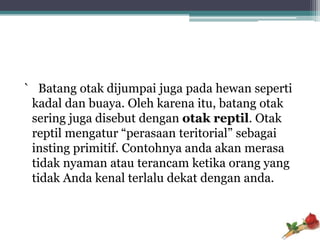 ` Batang otak dijumpai juga pada hewan seperti
 kadal dan buaya. Oleh karena itu, batang otak
 sering juga disebut dengan otak reptil. Otak
 reptil mengatur “perasaan teritorial” sebagai
 insting primitif. Contohnya anda akan merasa
 tidak nyaman atau terancam ketika orang yang
 tidak Anda kenal terlalu dekat dengan anda.
 