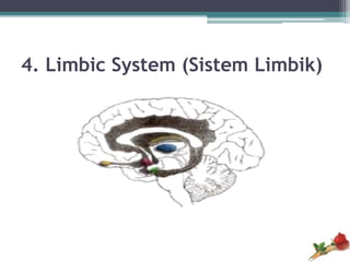 4. Limbic System (Sistem Limbik)
 