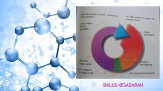 SIKLUS KESADARAN
 