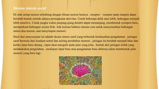 Skema sistem saraf
Di otak setiap neuron terhubung dengan ribuan neuron lainnya . reseptor – reseptor pada sinapsis dapat
berubah bentuk setelah adanya peningkatan aktivitas. Untuk beberapa detik atau lebih, hubungan menjadi
lebih sensitive. Untuk jangka waktu panjang,ujung dendrit dapat memanjang, membentuk synopsis baru,
memperkuat hubungan secara fisik. Ada lusinan bahkan ratusan cara untuk menyesuaikan hubungan
antara dua neuron, saat menyimpan memori.
Hasil dari penyesuaian ini adalah skema sistem saraf yang terbentuk berdasarkan pengalaman . jaringan
saraf bermula dari keadaan netral dan seiring perubahan memori , jaringan itu berubah menjadi khas dan
ketika input baru datang , input akan mnegalir pada jalur yang jelas . bentuk dari jaringan inilah yang
melakakukan pengolahan , meskipun input baru atau pengalaman baru akhirnya akan membentuk jalur
memori yang baru lagi .
 
