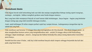 Memahami dunia
Otak bagian bawah telah berkembang baik saat lahir dan mampu menghasilkan bebrsps insting seperti mengisap ,
menangis , meringkuk , bahkan mengikuti gerakan suatu benda dengan matanya .
Bayi yang baru lahir mempunyai banyak sel saraf namun tidak berhubungan . hanya bagian – bagian yang berkaitan
dengan insting saja yang telah memiliki hubungan tersebut .
Anak- anak kehilangan 20 miliar sinapsis perhari sejak bayi sampai dewasa . kedengarannya mengerikan tapi itu
adalah hal yang baik .
Otak membesar saat berumur 14 minggu fetus akan meringkukkan diri bila disentuh . bila ditsuk dengan jarum , ia
akan menghasilkan hormon sertres yang mengindikasikan sakit . setelah 24 minggu otknya telah berkembang
sehingga i dapat mendengar , menciu , mengecap dan bahkan berkedip bila cahaya terang dipancarkan menembus
perut ibunya .
Setelah kira-kira umur 6 bulan , otak bayi telah membuat banyak sekali sinapsis sehingga berjumlah dua kali dari
pada yang benar-benar .
 