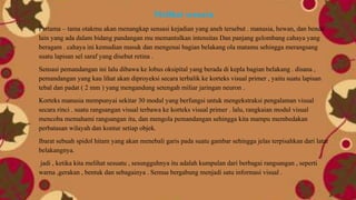 Melihat sesuatu
Pertama – tama otakmu akan menangkap sensasi kejadian yang aneh tersebut . manusia, hewan, dan benda
lain yang ada dalam bidang pandangan mu memantulkan intensitas Dan panjang gelombang cahaya yang
beragam . cahaya ini kemudian masuk dan mengenai bagian belakang ola matamu sehingga merangsang
suatu lapisan sel saraf yang disebut retina .
Sensasi pemandangan ini lalu dibawa ke lobus oksipital yang berada di kepla bagian belakang . disana ,
pemandangan yang kau lihat akan diproyeksi secara terbalik ke korteks visual primer , yaitu suatu lapisan
tebal dan padat ( 2 mm ) yang mengandung setengah miliar jaringan neuron .
Korteks manusia mempunyai sekitar 30 modul yang berfungsi untuk mengekstraksi pengalaman visual
secara rinci . suatu rangsangan visual terbawa ke korteks visual primer . lalu, rangkaian modul visual
mencoba memahami rangsangan itu, dan mengola pemandangan sehingga kita mampu membedakan
perbatasan wilayah dan kontur setiap objek.
Ibarat sebuah spidol hitam yang akan menebali garis pada suatu gambar sehingga jelas terpisahkan dari latar
belakangnya.
jadi , ketika kita melihat sesuatu , sesungguhnya itu adalah kumpulan dari berbagai rangsangan , seperti
warna ,gerakan , bentuk dan sebagainya . Semua bergabung menjadi satu informasi visual .
 