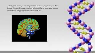 Arteriogram menunjukan jaringan arteri (merah ) yang mensuplai darah
ke otak berat otak hanya seperlima puluh dari berat tubuh kita , namun
memerlukan hingga seperlima suplai darah kita .
 