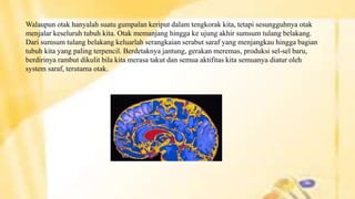 Walaupun otak hanyalah suatu gumpalan keriput dalam tengkorak kita, tetapi sesungguhnya otak
menjalar keseluruh tubuh kita. Otak memanjang hingga ke ujung akhir sumsum tulang belakang.
Dari sumsum tulang belakang keluarlah serangkaian serabut saraf yang menjangkau hingga bagian
tubuh kita yang paling terpencil. Berdetaknya jantung, gerakan meremas, produksi sel-sel baru,
berdirinya rambut dikulit bila kita merasa takut dan semua aktifitas kita semuanya diatur oleh
system saraf, terutama otak.
 