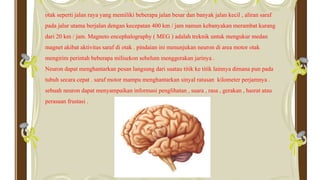 otak seperti jalan raya yang memiliki beberapa jalan besar dan banyak jalan kecil , aliran saraf
pada jalur utama berjalan dengan kecepatan 400 km / jam namun kebanyakan merambat kurang
dari 20 km / jam. Magneto encephalography ( MEG ) adalah treknik untuk mengukur medan
magnet akibat aktivitas saraf di otak . pindaian ini menunjukan neuron di area motor otak
mengirim perintah beberapa milisekon sebelum menggerakan jarinya .
Neuron dapat menghantarkan pesan langsung dari suatau titik ke titik lainnya dimana pun pada
tubuh secara cepat . saraf motor mampu menghantarkan sinyal ratusan kilometer perjamnya .
sebuah neuron dapat menyampaikan informasi penglihatan , suara , rasa , gerakan , hasrat atau
perasaan frustasi .
 