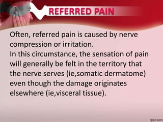 Often, referred pain is caused by nerve
compression or irritation.
In this circumstance, the sensation of pain
will generally be felt in the territory that
the nerve serves (ie,somatic dermatome)
even though the damage originates
elsewhere (ie,visceral tissue).
 
