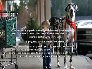 Uma pessoa é gigante quando se interessa pela sua vida,  quando busca alternativas para o seu crescimento,  quando sonha junto com você.  E pequena quando desvia do assunto. Uma pessoa é grande quando perdoa, quando compreende,  quando se coloca no lugar do outro,  quando age não de acordo com o que esperam dela,  mas de acordo com o que espera de si mesma. 