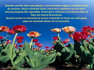 Quando uma flor abre suas pétalas, é um momento mágico, verdadeira festa
  da natureza. Nesse momento único, curvo-me à sabedoria que dá vida a
natureza daquela flor expandida. Penso que o universo é um imenso lótus de
                        Deus em eterna florescência.
 Quando assisto ao momento da aurora rompendo as trevas da madrugada,
                pego-me extasiado diante de tal maravilha.
 