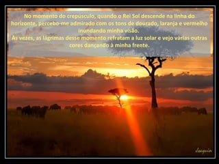 No momento do crepúsculo, quando o Rei Sol descende na linha do
horizonte, percebo-me admirado com os tons de dourado, laranja e vermelho
                           inundando minha visão.
Às vezes, as lágrimas desse momento refratam a luz solar e vejo várias outras
                       cores dançando à minha frente.
 