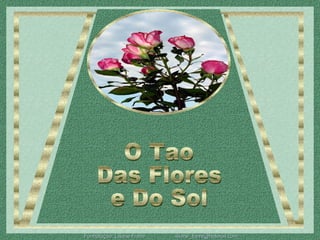 O Tao Das Flores e Do Sol 