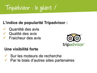 Atelier Google + localTripadvisor : le géant !
L’indice de popularité Tripadvisor :
 Quantité des avis
 Qualité des avis
 Fraicheur des avis
Une visibilité forte
 Sur les moteurs de recherche
 Par le biais d’autres sites partenaires
 