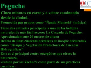 Peguche
Cinco minutos en carro y a veinte caminando
desde la ciudad.
Tiene dos entradas principales a una de las bellezas
naturales de más fácil acceso: La Cascada de Peguche.
Aproximadamente 20 metros de altura
Dentro de unas cuarenta hectáreas de bosque declaradas
como "Bosque y Vegetaci6n Protectores de Cuencas
Hidrográficas”
Este es el principal centro energético que ofrece la
naturaleza,
visitada por los Yachac's como parte de sus practicas
curativas.
Promovida par grupos como "Ñanda Manachi“ (música)
 