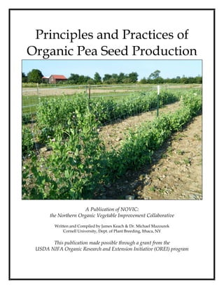 Principles and Practices of
Organic Pea Seed Production

A Publication of NOVIC:
the Northern Organic Vegetable Improvement Collaborative
Written and Compiled by James Keach & Dr. Michael Mazourek
Cornell University, Dept. of Plant Breeding, Ithaca, NY

This publication made possible through a grant from the
USDA NIFA Organic Research and Extension Initiative (OREI) program

 