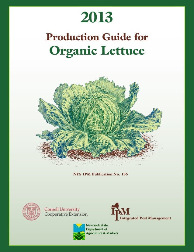 Production Guide for Organic Lettuce