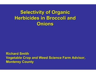 Selectivity of Organic
Herbicides in Broccoli and
Onions

Richard Smith
Vegetable Crop and Weed Science Farm Advisor,
Monterey County

 