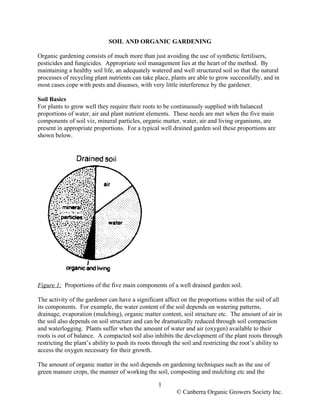 SOIL AND ORGANIC GARDENING
Organic gardening consists of much more than just avoiding the use of synthetic fertilisers,
pesticides and fungicides. Appropriate soil management lies at the heart of the method. By
maintaining a healthy soil life, an adequately watered and well structured soil so that the natural
processes of recycling plant nutrients can take place, plants are able to grow successfully, and in
most cases cope with pests and diseases, with very little interference by the gardener.
Soil Basics
For plants to grow well they require their roots to be continuously supplied with balanced
proportions of water, air and plant nutrient elements. These needs are met when the five main
components of soil viz, mineral particles, organic matter, water, air and living organisms, are
present in appropriate proportions. For a typical well drained garden soil these proportions are
shown below.

Figure 1: Proportions of the five main components of a well drained garden soil.
The activity of the gardener can have a significant affect on the proportions within the soil of all
its components. For example, the water content of the soil depends on watering patterns,
drainage, evaporation (mulching), organic matter content, soil structure etc. The amount of air in
the soil also depends on soil structure and can be dramatically reduced through soil compaction
and waterlogging. Plants suffer when the amount of water and air (oxygen) available to their
roots is out of balance. A compacted soil also inhibits the development of the plant roots through
restricting the plant’s ability to push its roots through the soil and restricting the root’s ability to
access the oxygen necessary for their growth.
The amount of organic matter in the soil depends on gardening techniques such as the use of
green manure crops, the manner of working the soil, composting and mulching etc and the
1
© Canberra Organic Growers Society Inc.

 