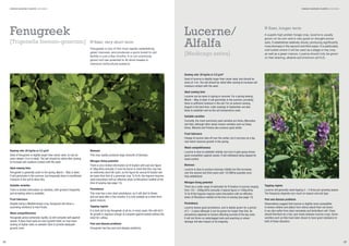 GREEN MANURE PLANTS LEGUMES

GREEN MANURE PLANTS LEGUMES

Fenugreek
[Trigonella foenum-graecum]

N fixer, very short term
Fenugreek is one of the most rapidly establishing
green manures, and produces a quick boost to soil
fertility in just a few months. It is not commonly
grown but has potential to ﬁll short breaks in
intensive horticultural systems.

Lucerne/
Alfalfa
[Medicago sativa]

N fixer, longer term
A superb high protein forage crop, lucerne is usually
grown on its own and is very good on drought-prone
soils. It establishes relatively slowly, producing signiﬁcantly
more biomass in the second and third years. It is particularly
well suited where it will be used as a silage or hay crop
as well as a green manure. Lucerne should only be grown
on free-draining, alkaline soil (minimum pH 6.2).

Sowing rate: 20 kg/ha or 2.0 g/m2
Seed of lucerne is slightly larger than clover seed, and should be
sown at 1cm. The soil should be rolled after sowing to increase soil
moisture contact with the seed.
Ideal sowing time
Lucerne can be sown in spring or summer. For a spring sowing,
March – May is ideal. It will germinate in the summer, providing
there is sufﬁcient moisture in the soil. For an autumn sowing,
August is the best time. Later sowings in September are less
likely to establish well as the soil temperature cools.
Suitable varieties
Currently, the most commonly used varieties are Verko, Mercedes
and Vela, although other lesser known varieties such as Daisy,
Diane, Marshal and Pondus also produce good yields.
Frost tolerance
Foliage of lucerne dies off over the winter, but it survives as a tap
root which resumes growth in the spring.
Sowing rate: 25 kg/ha or 2.5 g/m2
Seed of fenugreek is slightly larger than clover seed, so can be
sown deeper (1cm is ideal). The soil should be rolled after sowing
to increase soil moisture contact with the seed.
Ideal sowing time
Fenugreek is generally sown in the spring, March – May is ideal.
It will germinate in the summer, but frequently there is insufﬁcient
moisture in the soil to allow this.
Suitable varieties
There is limited information on varieties, with growers frequently
just accepting what is available.
Frost tolerance
Despite being a Mediterranean crop, fenugreek will show a
surprising resilience to hard frosts.
Weed competitiveness
Fenugreek grows extremely rapidly, so will compete well against
weeds. It does have quite an erect growth habit, so may need
sowing at higher rates on weedier sites to provide adequate
ground cover.

18

Biomass
This crop rapidly produces large amounts of biomass.
Nitrogen ﬁxing potential
There is very limited information on N ﬁxation with just one ﬁgure
of 30kg N/ha annually. It must be borne in mind that this crop has
an extremely short life cycle, so the ﬁgure for annual N ﬁxation will
be lower than that of a perennial crop. To ﬁx N, this legume requires
seed inoculation with an effective strain of Rhizobium meliloti at the
time of sowing (see page 13).
Persistence
This crop has a very short persistence, as it will start to ﬂower
and set seed after a few months. It is only suitable as a short term
green manure.
Topping regime
It is best not to top fenugreek at all as, in most cases, this will kill it.
Its growth is vigorous enough to compete against weeds without the
need for cutting.
Pest and disease problems
Fenugreek has few pest and disease problems.

Weed competitiveness
Lucerne is slow to establish initially, but once it gets going shows
good competition against weeds. It will withstand being topped for
weed control.
Biomass
Lucerne is slow to produce biomass initially but this increases
over the second and third years with 15t DM/ha possible once
fully established.
Nitrogen ﬁxing potential
There are a wide range of estimates for N ﬁxation in lucerne ranging
from 125 – 500kg N/ha annually. A typical ﬁgure is 150kg N/ha.
To ﬁx N this legume requires seed inoculation with an effective
strain of Rhizobium meliloti at the time of sowing (see page 13).
Persistence
Lucerne shows good persistence, and is ideally grown for a period
of 2 – 3 years although it can be grown for longer than this. Its
persistence depends on factors affecting survival of the tap roots.
It will not thrive on waterlogged soils and poaching or wheel
damage will also impact on its longevity.

Topping regime
Lucerne will generally need topping 2 – 3 times per growing season.
The frequency depends very much on season and soil type.
Pest and disease problems
Observations suggest that lucerne is slightly more susceptible
to downy mildew and attack from sitona weevil than red clover.
It can also suffer from stem nematode and Verticillium wilt. There
should therefore be a four year break between lucerne crops. Some
varieties such as Vela have been shown to have good resistance to
both of these disorders.

19

 