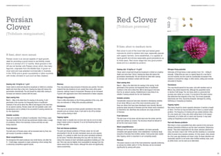 GREEN MANURE PLANTS LEGUMES

GREEN MANURE PLANTS LEGUMES

Red Clover
[Trifolium pratense]

[Trifolium resupinatum]

0 cm 1

Persian
Clover

N fixer, short to medium term
Red clover is one of the most tried and tested green
manures for short to medium term leys, especially popular
with organic farmers. Once established, it is capable of
rapid growth and shows reasonably good persistence up
to three years. Red clover silage has very good protein
levels and is a valuable by-product.

N fixer, short term annual
Persian clover is an annual capable of rapid growth,
ideal for providing a quick boost to soil fertility where
there is a window of 5-12 months. Most growers in the
UK are not familiar with Persian clover which, like many
legumes, originates from the Middle East. It grows on
most soils and was adopted commercially in Australia
in the 1970s and is grown successfully in other countries
with similar climates to ours such as New Zealand.

Sowing rate: 15 kg/ha or 1-5 g/m2
Clover seed is small and should be broadcast or drilled at a shallow
depth (not more than 10mm). Sowing too deep will reduce the
germination dramatically. The soil should be rolled after sowing
to increase soil moisture contact with the seed.

Sowing rate: 10 kg/ha or 1 g/m2
Clover seed is small and should be broadcast or drilled at a shallow
depth (not more than a few mm). Sowing too deep will reduce the
germination dramatically. The soil should be rolled after sowing to
increase soil moisture contact with the seed.

Biomass
This crop produces large amounts of biomass very quickly. The stem
material has less tendency to turn woody than many other green
manures, making it easy to incorporate. Biomass can be increased
if grown with aggressive short-lived westerwold or Italian ryegrass.

Ideal sowing time
March – May is the ideal time for sowing in the spring. It will
germinate in the summer, but frequently there is insufﬁcient
moisture in the soil to allow this. Mid to late August is the best time
for an autumn sowing. Persian clover will not establish under cold
temperatures and is unlikely to be successful if sowing extends too
far into September.

Nitrogen ﬁxing potential
There is little information on the N ﬁxing potential of this crop, with
only one estimate of 100kg N/ha annually published.

Suitable varieties
There are a number of cultivars in production. One of these, Laser,
has been tested in the UK and has performed reliably under a range
of conditions. Others from Australia, Greece and Italy are also
being imported.
Frost tolerance
The leaf cover of Persian clover will be knocked back by frost, but
will recover to provide a reliable crop.
Weed competitiveness
On emergence this plant produces very small leaves, but after the
4 – 5 leaf stage, expansion is rapid, producing a thick canopy that
is extremely competitive against weeds.

20

Persistence
This crop is an annual but shows greater persistence than other
annuals such as crimson clover. It will start to die off by October
from a spring sowing in April.
Topping regime
Persian clover is usually only cut once and may be cut at an early
stage if weed control is required. If cut at full ﬂowering there will
be little regrowth.
Pest and disease problems
The pest and disease problems of Persian clover are not well
documented in the UK. As stem nematode races are very species
speciﬁc, it is unlikely to suffer from the same nematode problems
as red clover. Therefore alternating this crop with red clover may
reduce the chances of stem nematode populations building up in the
soil. This crop may be slightly more susceptible to damage from the
sitona weevil than other clovers, although this does not signiﬁcantly
reduce productivity.

Ideal sowing time
March – May is the ideal time for sowing in the spring. It will
germinate in the summer, but frequently there is insufﬁcient
moisture in the soil to allow this. Mid to late August is the best
time for an autumn sowing. Establishment is less likely to be
reliable if sowing extends too far into September.
Suitable varieties
Considerable resources have been devoted to developing varieties
of red clover. Milvus is one of the most commonly grown, but
there are others that have been developed more recently. Merviot
produces large amounts of biomass and has shown some resistance
to Sclerotinia rots. AberRuby also produces very large amounts
of biomass.
Frost tolerance
The leaf cover of red clover will die back over the winter, and the
plant over-winters as crowns. This structure should be tolerant of
all but the most severe frosts.
Weed competitiveness
Although not the most rapid to establish, red clover generally
competes well against weeds. Once established, it produces large
amounts of biomass that smother weeds. It also grows back rapidly
after topping, which is important in out-competing weeds.
Biomass
This green manure is one of the most productive, typically producing
an annual dry matter yield of 10 t/ha. Biomass can be increased
signiﬁcantly by sowing with grass.

Nitrogen ﬁxing potential
Estimates of N ﬁxed show a wide variation from 150 – 450kg N
annually. 150kg N/ha per year is a typical ﬁgure for a ley that is
cut and mulched, but this could be considerably increased if the
material is removed for silage. In other words, cutting and removal
stimulates N ﬁxation.
Persistence
The crop should persist for two years, and with varieties such as
Milvus may extend beyond this, although the population tends
to decline if left longer. The red clover plant is a perennial that
survives over winter as a crown. It is survival of the plant crowns
that determine the longevity of the crop. The crowns gradually
deteriorate over time, becoming diseased, damaged by cutting,
trafﬁcking or trampling by livestock.
Topping regime
Red clover should be mown regularly whenever it reaches a height
of 30cm. The ﬁrst cut may be before this if there is a severe weed
problem. The frequency of mowing will vary widely between sites.
On a dry sandy soil, it may only need cutting twice in the season.
Conversely, on a fertile soil in a warm wet summer, it may need
cutting as frequently as once every ten days.
Pest and disease problems
Red clover is more susceptible than other species to the soil borne
disease Sclerotinia trifoliorum and the stem nematode, Ditylenchus
dipsaci. They were responsible for the clover sickness observed in
many red clover crops in the 1970s and 80s resulting in a concerted
effort to breed more resistant varieties. For this reason, there should
be a four year gap between red clover crops. As these disorders are
reasonably speciﬁc to red clover other fertility-building crops, such
as white clover, can be used as an alternative.

21

 