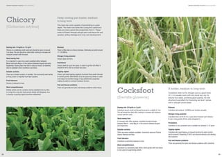 GREEN MANURE PLANTS NON-LEGUMES

Chicory

GREEN MANURE PLANTS NON-LEGUMES

Deep rooting pan buster, medium
to long term

[Cichorium intybus]

This herb has roots capable of penetrating to great
depth. The main root looks like a long thin carrot and
there are many pencil-like projections from it. These
roots will break through plough pans and leave the soil
aerated, aiding drainage and crop root development.

Sowing rate: 15 kg/ha or 1.5 g/m2
Chicory is a relatively small seed and should be sown at around
1cm deep. The soil should be rolled after sowing to increase soil
moisture contact with the seed.

Biomass
There is little data on chicory biomass. Estimates put yield around
11-13t DM/ha.

Ideal sowing time
It is important to sow into a warm seedbed either between
March and early May or in the autumn between August and early
September. Sowing later than this is risky as chicory is relatively
slow to establish when conditions cool down.
Suitable varieties
There are a limited number of varieties. The commonly used variety
is Puna, which is imported from New Zealand.
Frost tolerance
Chicory is tolerant to frost.
Weed competitiveness
Initially weeds can be a problem during establishment, but this
is a long term crop and most annual weeds will disappear once
a mowing or grazing regime becomes established.

Nitrogen ﬁxing potential
Chicory does not ﬁx N.
Persistence
Chicory lasts for up to ten years. In order to get the full effect it
should be left in situ for at least two years.
Topping regime
Chicory will need topping regularly at around three week intervals
to control growth. Alternatively it can be grazed by sheep or cattle
and makes an excellent forage. It has anthelmintic properties
making it useful to ruminant livestock farmers.
Pest and disease problems
There are generally few pest and disease problems with chicory.

Cocksfoot
[Dactylis glomerta]
Sowing rate: 20 kg/ha or 2 g/m2
Cocksfoot seed is small and should be sown to a depth of 1cm.
The soil should be rolled after sowing to increase soil moisture
contact with the seed.
Ideal sowing time
In common with other grasses, cocksfoot should be sown
between March – early May or in the autumn between August
and September.
Suitable varieties
There are many varieties available. Commonly used are Prairial,
Sparta, Abertop and Niva.
Frost tolerance
Cocksfoot is extremely tolerant to frost.
Weed competitiveness
Cocksfoot is a dominant grass which, when grown with red clover,
is very good at suppressing weeds.

28

N holder, medium to long term
Cocksfoot does not ﬁx nitrogen but is a good store
of it. It is usually sown with red clover as a ley for
around four years, providing good grazing. Its root
structure is excellent for improving soil and it grows
well in drought-prone areas.
Biomass
Cocksfoot will produce 13t DM/ha per hectare annually.
Nitrogen ﬁxing potential
Cocksfoot does not ﬁx N. It is a good store however and releases
N over a long period of time when ploughed in.
Persistence
Cocksfoot is very persistent and is suitable for between 2-10 years.
Topping regime
Cocksfoot will need topping or frequent grazing for weed control
and to prevent it ﬂowering. If left it can become stemmy and develop
into tussocks.
Pest and disease problems
There are generally few pest and disease problems with cocksfoot.

29

 
