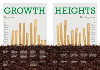GROWTH

HEIGHTS
Chicory

s
Westerwold

Mustard

Italian Ryegrass

Ryegrass

Cocksfoot

Perrenial Ryegrass

Phacelia

Buckwheat

20cm

1m
90cm
80cm
70cm
60cm
50cm
40cm
30cm
20cm

Y l
Yellow
Trefoil
e

h
White
Clover

Vetch

Red Clover

40cm
30cm

Persian Clover

60cm
50cm

Crimson Clover

80cm
70cm

Fenugreek

Lucerne/Alfafa

90cm

Sainfoin

1m

Grazing Rye

Non-Legumes
Sweet Clover

Legumes

Crimson clover

Red clover

Sweet clover

White clover

Buckwheat

Chicory

Perennial Ryegrass

Mustard

Italian ryegrass

This can reach a
height of 70cm if
not cut.

The crop will attain
a height of at least
1m if not mown,
but should be cut
before this to avoid
an abundance of
woody material.

This will reach a height
of at least 60cm if left
unchecked. Allowing
the crop to produce
too much plant
material runs the risk
of smothering the crop
if cut and mulched.

This can grow to a
height of over 2m
if left uncontrolled,
although at this stage
it will have become
woody and difﬁcult
to incorporate.

This will reach a
height of 20 –30cm,
depending on leaf
size. Allowing the crop
to produce too much
plant material runs
the risk of smothering
the crop if cut and
mulched.

This will reach
a height of up
to 90cm.

After leaf development
at around 60cm, the
plant quickly bolts to
produce a ﬂowering
head at 100 – 150cm.
This is unsightly,
although the ﬂowers
attract many insects.

Ryegrass can easily
attain a height of over
80cm, but should be
topped before this
to maintain palatability
and prevent it becoming
tough and difﬁcult to
incorporate.

Depending on the
cultivar, a mustard
canopy will attain a
height of 50 – 70cm
before ﬂowering. Once
it ﬂowers, the height
can be at least 1m.

This can easily attain
a height of over 1m,
but should be topped
before this to maintain
palatability and prevent
it becoming tough and
difﬁcult to incorporate.

Persian clover

Fenugreek

Sainfoin

Vetch

Yellow trefoil

Grazing Rye

Phacelia

Cocksfoot

Westerwolds

This will reach a
height of at least
60 – 70cm if left
unchecked. It is
normally mown
at this point.

36

Lucerne

This will
grow to a height
of around 1m.

This will grow to a
height of around 1m.

This will grow to a
height of around 50cm,
or higher if grown in
conjunction with a cereal
(eg grazing rye or oats)
to provide support.

This will reach a
height of 20 – 30cm
if not mown.

This will attain
a height of at
least 1m.

This grows to around
40 – 50cm.

This will attain a height
of at least 80cm.

This ryegrass will
attain a height of at
least 80cm.

37

 