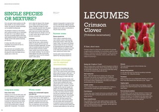 SINGLE SPECIES OR MIXTURE?

SINGLE SPECIES
OR MIXTURE?
As no one green manure species can offer
every beneﬁt, it is very common to drill a
mixture. By doing this multiple advantages
can be exploited simultaneously.
The strength of mixtures is most obvious
with a grazing rye/vetch mix or clover/grass
ley where two or more different species
will grow successfully together performing
quite separate functions, the legumes ﬁxing
nitrogen and the other species improving
soil structure.
A mixture also offers more weed
competition and removes the risk of a
single species failure.
Very short term and competitive green
manures like mustard or phacelia are in
the ground for only a few weeks and are
usually sown on their own.

acts to delay the release of this nitrogen,
as it is higher in carbon and acts like a
sponge, holding the nitrogen for longer.
This is especially important when the green
manure is to be followed by an autumnsown crops such as winter wheat where
the highest demand for nitrogen can be six
or seven months after the green manure
has been incorporated.
Cocksfoot
For leys that will be in the ground for
longer than two years, using cocksfoot
instead of ryegrass with the clover will
increase the beneﬁts signiﬁcantly. The deep
roots of cocksfoot improve soil structure
and add massive amounts of organic
matter. Another bonus with this species
is its drought resistance. This can mean it
needs topping more often, but this extra
management is paid for by the increased
organic matter gained.

Below: Ryegrass
and clover mix

manures. Incorporation is carried out from
February until late April. Although grazing
rye is the best nitrogen holder, westerwolds
ryegrass can be used as an alternative to
bring the seed cost down.

Summer mixes
Diverse annuals mix
There is often an opportunity during
warm weather to grow a fast-growing,
annual green manure. These crops add
organic matter, hold surplus soil nitrogen,
suppress weeds and act as a break crop
by interrupting pest and disease cycles.
Suitable mixtures can comprise up to four
or ﬁve crops such as mustard, crimson
clover, phacelia and Persian clover.
Summer green manure mixtures are
planted from late spring onwards on

Multiple advantages
can be exploited
simultaneously.
bare ground or immediately after whole
crop silage or any early cereal harvest in
June or July. A good summer green manure
will be ready for turning in after only 8 – 10
weeks and will therefore be incorporated
before the sowing of a winter cash crop.

Long term mixes
Grass clover mixes
Growing a mix of red and white clover with
perennial ryegrass is a very good option
for improving soil fertility and structure.
To realise its full potential the mix should
be grown for at least one full year before
incorporation. Red and white clover can
ﬁx up to 300 kg N/ha which is released
rapidly after incorporation. The ryegrass
16

Winter mixes
Grazing rye or westerwolds ryegrass
and vetch mix
Growing a nitrogen holder such as grazing
rye and a ﬁxer such as vetch together is
a good way of improving soil in the months
over winter. Grazing rye and vetch are
excellent companions and can be sown
from mid September until mid October,
a later sowing window than other green

These crops give good leaf canopy cover
to block out light, suppressing weed growth.
They are easy to establish with many
species able to grow on the soil surface
without the need for cultivation. The seed
is cheap and the crops are usually very
reliable. One further advantage of these
ﬂeshy annual plants is that incorporation
is simple. The mixture should be worked
into the soil at least three weeks before
sowing the next cash crop. This will allow
for the allelopathic effect to wear off (a
shorter time with these species than
with other green manures where plants
are more woody when incorporated). It
is important to ensure all summer green
manures are destroyed before setting seed
to prevent weed problems in the next crop.

LEGUMES
Crimson
Clover
[Trifolium incarnatum]

N fixer, short term
Crimson clover is a short term annual grown to provide
a rapid boost to soil fertility. It is commonly used for short
breaks in intensive horticultural systems. It also produces
a spectacular array of ﬂowers, which is often cited as a
reason for growing it.

Sowing rate: 15 kg/ha or 1.5 g/m2
Seed of crimson clover is small and should be broadcast or drilled at
a shallow depth (not more than 10mm). Sowing too deep will reduce
the germination dramatically. The soil should be rolled after sowing
to increase soil moisture contact with the seed.
Ideal sowing time
March – May is the ideal time for sowing in the spring. It will
germinate in the summer, but frequently there is insufﬁcient
moisture in the soil to allow this. Mid to late August is the best time
for an autumn sowing. Establishment is less likely to be reliable if
sowing extends too far into September.
Suitable varieties
There is limited information on varietal performance. Contea is a
commonly grown variety which gives satisfactory results.
Frost tolerance
Crimson clover sown in autumn will survive as small plants through
frosts over the winter. In spring the growth rate increases and a full
canopy will form.
Weed competitiveness
Once established, crimson clover rapidly produces a canopy that
is effective against weed control. This canopy often recedes at the
onset of ﬂowering allowing some weed growth, and the plant then
dies away once ﬂowering is ﬁnished.

Biomass
This crop produces around 3-4t/ha of biomass, less
than red clover.
Nitrogen ﬁxing potential
It is not clear how much N is ﬁxed but according to estimates
it is between 100-150kg N/ha annually.
Persistence
Being an annual, this crop is ﬁnished after ﬂowering, so it is short
lived. It has often ﬂowered then died back by July – August.
Topping regime
Crimson clover does not take kindly to hard topping, so should
be topped 10cm above the ground. This may limit the options for
weed control.
Pest and disease problems
The information on pest and disease tolerance in crimson clover
is limited. Its tolerance to sitona weevil and downy mildew are
similar to red clover. It is not attacked by the same types of stem
nematode as red clover, so can form an alternative crop in the
rotation to prevent the build up of this soil pest.

17

 