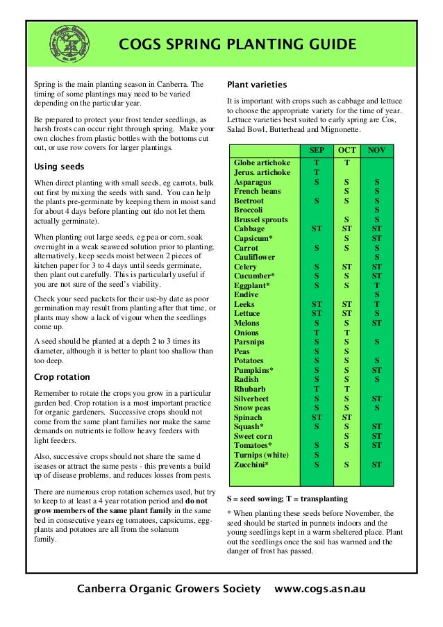Early Spring Garden Planting Guide