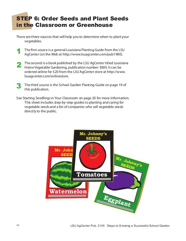 Steps to Growing a Successful School Garden