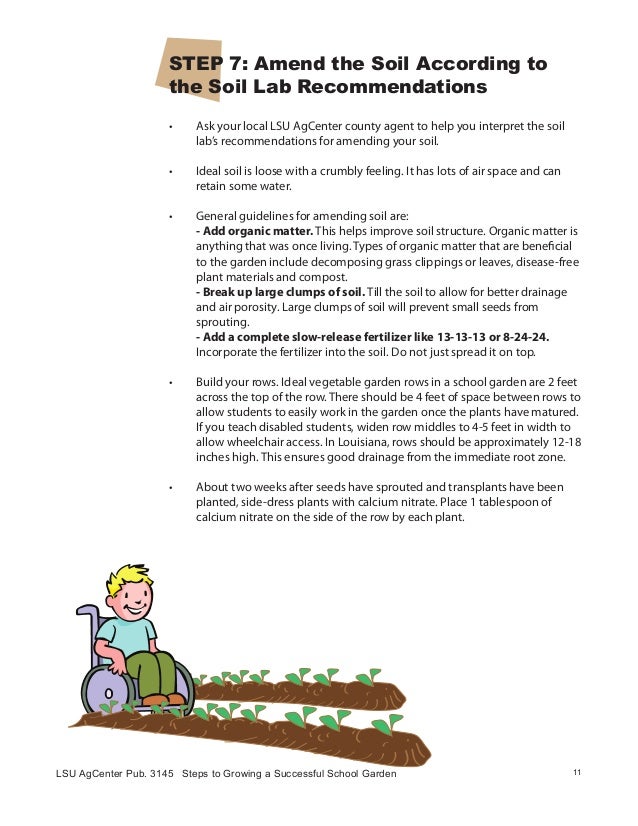 Steps to Growing a Successful School Garden