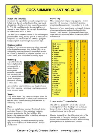 COGS SUMMER PLANTING GUIDE
Mulch and compost
In summer it is a good idea to mulch your garden beds
to help keep the soil cool and moist. One experiment
showed that a 4cm layer of straw reduced evaporation
by 73%. Be careful not to lay down a thick layer of
sawdust or lawn clippings that can pack down to form
an impenetrable barrier to water.
Soil with lots of compost contains all the nutrients your
plants need for strong, healthy growth. In addition well
composted soil retains water and act like a sponge to
keep your plants moist through dry summer days.
Heat protection
On days of extreme temperature your plants may need
to be physically protected from the heat. This can be
achieved by covering plants with shade cloth secured
on a frame eg weldmesh or irrigation pipe bent over to
form a tunnel, with shade cloth secured by pegs).
Watering
Try not to water the
leaves of plants that
are susceptible to
fungal diseases
(eg tomatoes,
cucumbers, pumpkins
and zucchinis) and
try to water individual
plants thoroughly,
rather than watering
a whole area.
Always follow water restrictions and check soil moisture before watering—a rostered watering day doesn’t
mean you must water.
Weeds
Keep weeds down. They compete with your plants for
food, water and sunlight. It is best to tackle them when
they are small—before removing them becomes an
exhausting exercise.
Pests
Pests can multiply over summer. Don’t reach for the
pesticides. Observe if there are natural predators
present, remembering that there will be a delay
between the appearance of the pest and the subsequent
build-up of its predators.
If you must spray, use an environmentally benign
spray. Read books such as Jackie French’s Natural
Pest Control.

Harvesting
Make sure you harvest your crop regularly - in most
cases this will encourage your plants to continue
cropping and you can enjoy your produce at its peak.
Remember to leave space in your vegie patch for those
winter vegetables that prefer to be planted in late
Summer - early autumn. Brassicas and other winter
crops need time to mature before the extreme cold of
winter sets in.
DEC
Bush beans
Beetroot
Broccoli
Brussel sprouts
Cabbage
Carrots
Cauliflower
Celery
Chicory
Chinese cabbage
Cucumber
Endive
Kohlrabi
Leeks
Lettuce
Marrows
Parsnips
Potatoes
Radish
Silverbeet
Squash
Swedes
Sweet corn
Tomatoes
Turnips

JAN

S
S
ST
ST
ST
S
ST
T
S
S
ST
S
ST
S
ST
T
S
S
S
ST
ST

S
S
ST
ST
ST
S
ST
T
S
S
T
S
ST
S
ST

ST
T

S
S
S
ST
S
T
T
S

FEB
S
T
T
T
S
T
S
S

S
T
ST
S
S
T
S

S

S = seed sowing; T = transplanting
This table is a guide only - observe the seasonal
weather patterns before deciding when to plant, as
there will often be distinct differences in summer
weather from one year to the next.
Planting times will vary for different varieties of the
one vegetable eg December plantings of heading
lettuce varieties should be successful; while February
plantings should be the butterhead varieties.

Canberra Organic Growers Society

www.cogs.asn.au

 