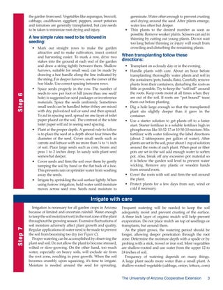 the garden from seed. Vegetables like asparagus, broccoli,
cabbage, cauliflower, eggplant, peppers, sweet potatoes
and tomatoes are generally transplanted, but care needs
to be taken to minimize root drying and injury.

Step 6

A few simple rules need to be followed in
seeding:
•	 Mark out straight rows to make the garden
attractive and to make cultivation, insect control
and harvesting easier. To mark a row, drive two
stakes into the ground at each end of the garden
and draw a string tightly between them. Shallow
furrows, suitable for small seed, can be made by
drawing a hoe handle along the line indicated by
the string. For deeper furrows, use the corner of the
hoe blade. Use correct spacing between rows.
•	 Space seeds properly in the row. The number of
seeds to sow per foot or hill (more than one seed/
hole) is suggested on seed packages or in reference
materials. Space the seeds uniformly. Sometimes
small seeds can be handled better if they are mixed
with dry, pulverized soil or sand and then spread.
To aid in spacing seed, spread on one layer of toilet
paper placed on the soil. The contrast of the white
toilet paper will aid in seeing seed spacing.
•	 Plant at the proper depth. A general rule to follow
is to place the seed at a depth about four times the
diameter of the seed. Cover small seeds such as
carrots and lettuce with no more than ¼ to ½ inch
of soil. Place large seeds such as corn, beans and
peas 1 to 2 inches deep. In sandy soils plant seed
somewhat deeper.
• 	 Cover seeds and firm the soil over them by gently
tamping the soil by hand or the flat back of a hoe.
This prevents rain or sprinkler water from washing
away the seeds.
• 	 Irrigate by sprinkling the soil surface lightly. When
using furrow irrigation, hold water until moisture
moves across seed row. Seeds need moisture to

germinate. Water often enough to prevent crusting
and drying around the seed. After plants emerge,
water less often but deeper.
• 	 Thin plants to the desired number as soon as
possible. Remove weaker plants. Scissors can aid in
thinning by cutting out young plants. Do not wait
too long before thinning or injury will result from
crowding and disturbing the remaining plants.

When transplanting follow these
directions:
• 	 Transplant on a cloudy day or in the evening.
• 	 Handle plants with care. About an hour before
transplanting thoroughly water plants and soil in
the containers (pots, bands, flats). Carefully remove
plants from their containers, disturbing the roots as
little as possible. Try to keep the “soil ball” around
the roots. Keep roots moist at all times when they
are out of the soil. If roots are “pot bound” tease
them out before planting.
• 	 Dig a hole large enough so that the transplanted
plant sits slightly deeper than it grew in the
container.
• 	 Use a starter solution to get plants off to a faster
start. Starter fertilizer is a soluble fertilizer high in
phosphorous like 10-52-17 or 10-50-10 mixture. Mix
fertilizer with water following the label directions
(about 2 tablespoons per gallon of water). After
plants are set in the soil, pour about 1 cup of solution
around the roots of each plant. When peat or fiber
pots are set in the soil add enough water to soften
pot. Also, break off any excessive pot material so
it is below the garden soil level to prevent water
wicking. Remove any plastic or wooden bands
from around roots.
• 	 Cover the roots with soil and firm the soil around
the plant.
• 	 Protect plants for a few days from sun, wind or
cold if necessary.

Step 7

Irrigate with care
Irrigation is necessary for all garden crops in Arizona
because of limited and uncertain rainfall. Water enough
to keep the soil moist (not wet) in the root zone of the plant
throughout the growing season. Excessive fluctuations of
soil moisture adversely affect plant growth and quality.
Regular applications of water need to be made to prevent
the soil from becoming too dry (see Figure C).
Proper watering can be accomplished by observing the
plant and soil. Do not allow the plant to become stressed,
wilted or slow-growing. On the other hand, too much
water, especially on heavy soils, will exclude air from
the root zone, resulting in poor growth. When the soil
becomes crumbly upon squeezing, it’s time to irrigate.
Moisture is needed around the seed for sprouting.

Frequent watering will be needed to keep the soil
adequately moist and prevent crusting of the surface.
A three inch layer of organic mulch will help prevent
evaporation. Do not place mulch on top of seedlings or
transplants, but around them.
As the plant grows, the watering period should be
longer, allowing deeper penetration through the root
zone. Determine the moisture depth with a spade or by
probing with a stick, trowel or iron rod. Most vegetables
are shallow-rooted and use water from the upper 12 to
24 inches of soil.
Frequency of watering depends on many things.
A large plant needs more water than a small plant. A
shallow-rooted vegetable (cabbage, onion, lettuce, corn)
The University of Arizona Cooperative Extension



 