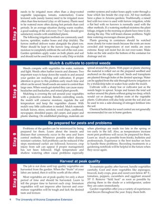 Step 7

needs to be irrigated more often than a deep-rooted
vegetable (asparagus, tomato, watermelon). Coarse
textured soils (sandy loams) need to be irrigated more
often than fine-textured (clay or silt loams). Plants need
to be watered more often during hot periods than cool
periods. In an average situation during warm weather,
a good soaking of the soil every 5 to 7 days should give
satisfactory results with established plants.
The following irrigation methods are commonly used:
furrow, sprinkler, soaker hoses and drip (trickle). The
furrow method delivers water alongside the plant row.
Water should be kept in the furrow long enough for
moisture to completely infiltrate the soil of the root zone.
Garden sprinklers apply water on both plants and soil
and should not be used if the water is salty. Drip or trickle

emitter systems and soaker hoses apply water through a
hose which lies beside the crop row. All four methods
have a place in Arizona gardens. Traditionally, a raised
bed with two rows is used with furrow irrigation, while
a flat bed with no furrows is normally used with the
other methods. If a watering method moistens the plant
foliage, irrigate in the morning so plants have time to dry
during the day. This will lessen disease problems. Night
time watering encourages disease growth.
Plants growing in containers should be watched
more closely for water needs because the roots are more
crowded and temperatures of root media are more
extreme. Keep soil moist but do not over-water. Make
holes on the side and/or the bottom of the container for
drainage and air.

Step 8

Mulch  cultivate to control weeds
Weeds compete with vegetables for water, nutrients
and light. Weeds often harbor insects and diseases. Two
important ways to keep down the weeds in and around
your garden are mulching and cultivation. If proper
attention is given to this problem early much time and
effort can be saved. Small weeds are easier to control than
large ones. When weeds get started they can cause many
headaches and backaches, and retard plant growth.
Mulching is covering the soil around your vegetables
with a protective material. Besides controlling weeds,
the mulch will conserve moisture, regulate the soil
temperature and keep the vegetables cleaner. With
mulch very little cultivation is needed. Mulch materials
include leaves, straw, sawdust, wood chips, cardboard,
newspaper, shredded paper, old carpet, and paper and
plastic sheeting. On established plantings, materials are

spread around the plants. With paper or plastic sheeting
the material is rolled out on the prepared seedbed and
anchored on the edges with soil. Seeds and transplants
are planted through holes at the desired spacings. Water
can be applied from the side through furrow irrigation or
by a trickle/drip tube or soaker hose under the mulch.
Cultivate with a sharp hoe or cultivator just as the
weeds begin to sprout. Scrape and loosen the total soil
surface around the plants without going too deep, which
would cut or damage shallow roots of the vegetable
plants. Cultivation will also help aerate the soil and can
be used to mix a side-dressing of nitrogen fertilizer into
the soil.
Chemical herbicides for weed control are not generally
recommended for use in home gardens.

Step 9

Be prepared for pests and problems
Problems of the garden can be minimized by being
prepared for them. Learn about the insects and
diseases that commonly occur in the area and learn
control methods. Whenever possible select disease
resistant varieties. Soil problems can be reduced if the
steps mentioned earlier are followed; however, crop
injury from salt can appear if proper management
has not been followed. High temperature and
shallow watering often cause problems especially

when plantings are made too late in the spring or
too early in the fall. Also, as temperatures increase
more pest problems will occur; be prepared for them.
Learn as much as possible from books, bulletins and
professionals. Experience is the best teacher on how
to handle these problems. Recording treatments in a
gardening notebook will be helpful in the future when
they occur again.

Step 10

Harvest at peak quality



The job is not done until top quality vegetables are
harvested from the garden. When the “fruits” of your
labor are tasted, then it will be worth all the effort.
Most vegetables are at peak quality for only a short
period of time and should be harvested. Learn to
tell the proper time to harvest each crop. Immature
vegetables will not improve after harvest and overmature vegetables will be tough and lack the desired
taste and texture.

The University of Arizona Cooperative Extension

To maintain quality after harvest, handle vegetables
carefully. Cool and store vegetables like asparagus,
broccoli, leafy crops, peas and sweet corn below 40° F.;
tomatoes, peppers, cucumbers and eggplant around
55° F. Remove “field heat” as soon as possible by
placing them in the shade or a refridgerator, unless
they are eaten immediately.
Garden vegetables offer you a variety of experiences
and flavors throughout the year. Enjoy them both.

 